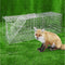 Animal Trap Cage Possum 94X34Cm